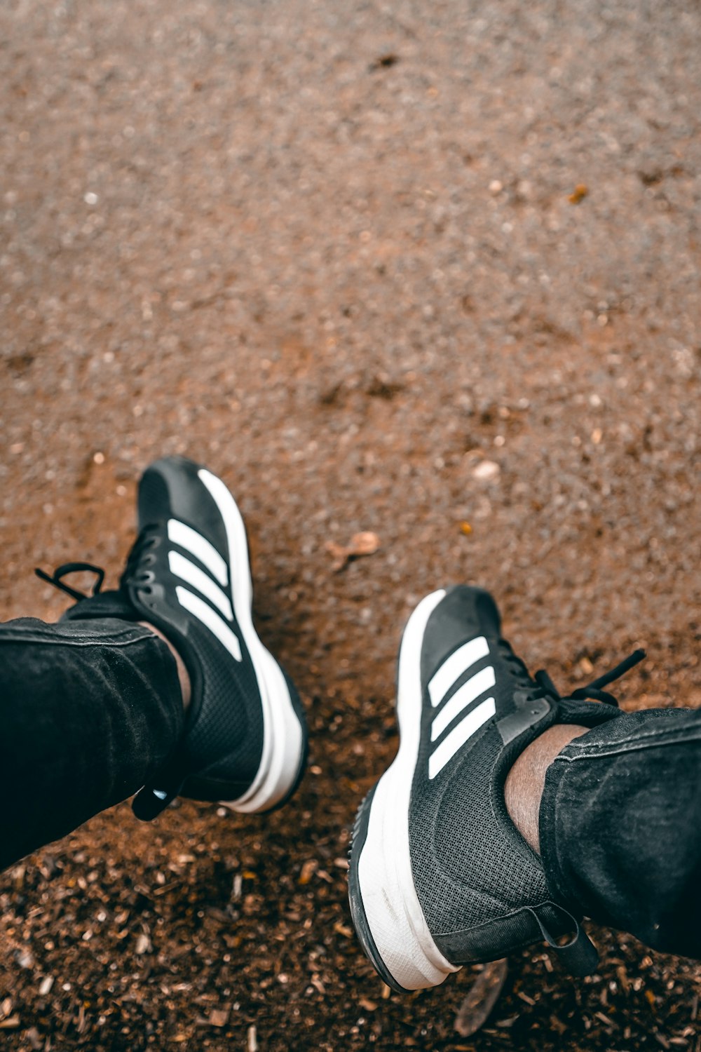 person wearing black and white adidas sneakers photo – Free Image on  Unsplash