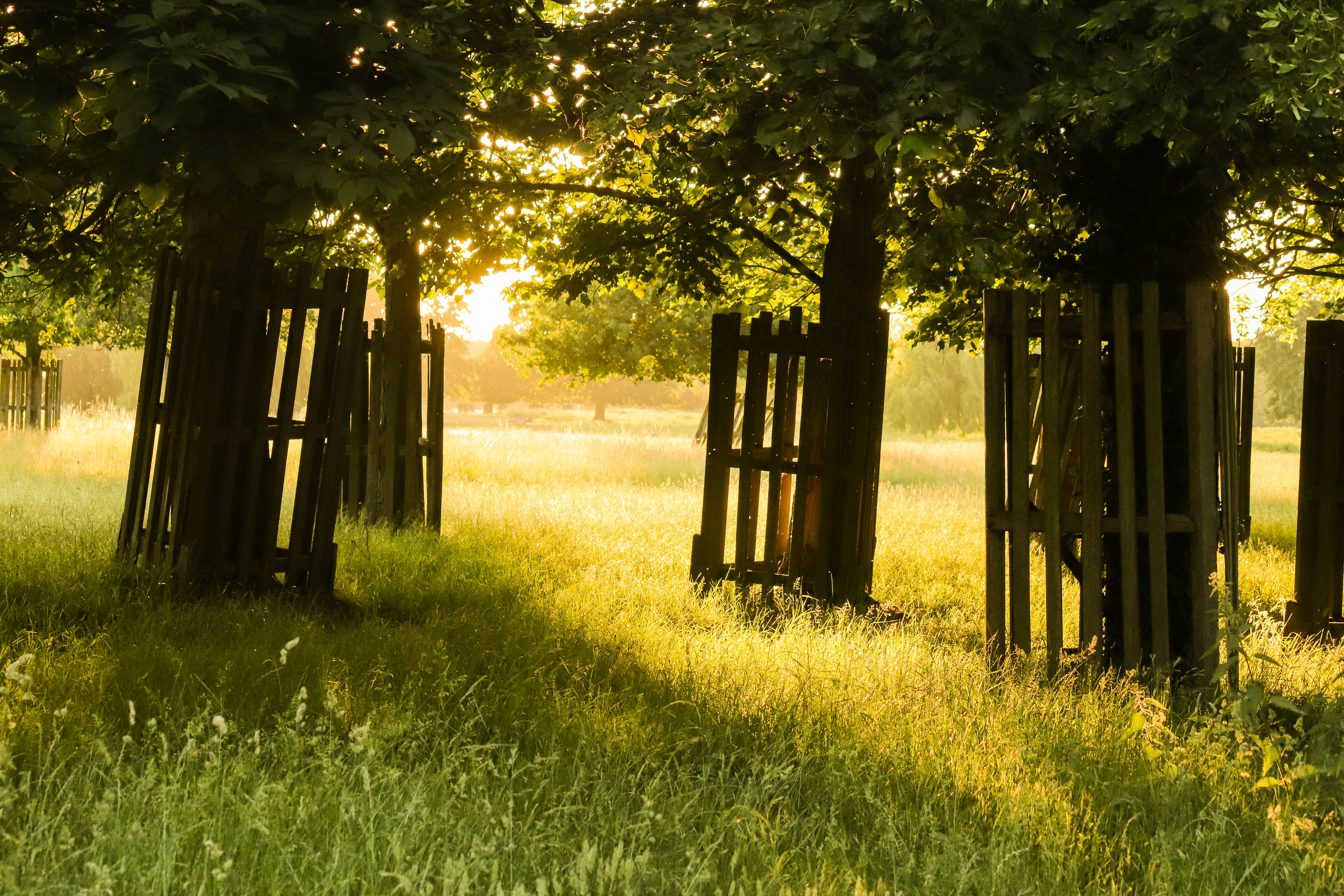 green grass field with brown wooden fence