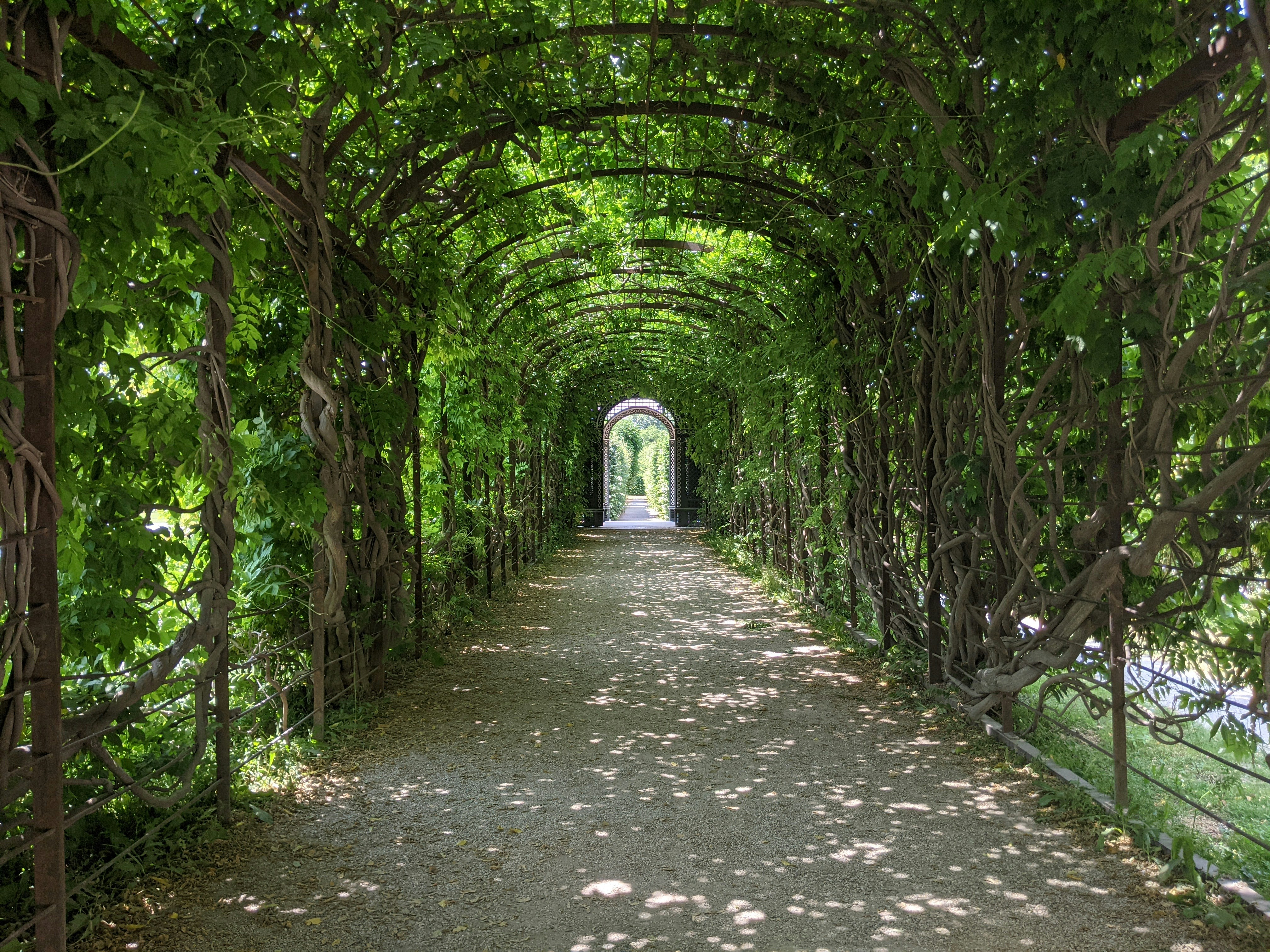 Photo by catrinalouisec