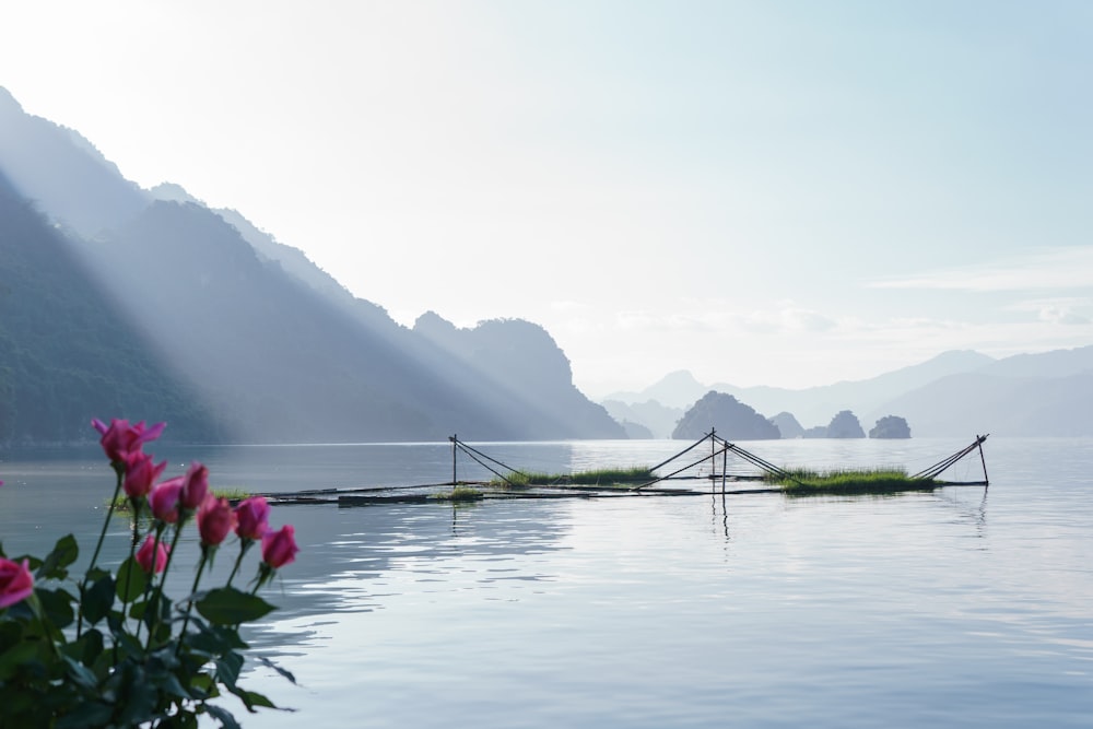 body of water near mountain during daytime