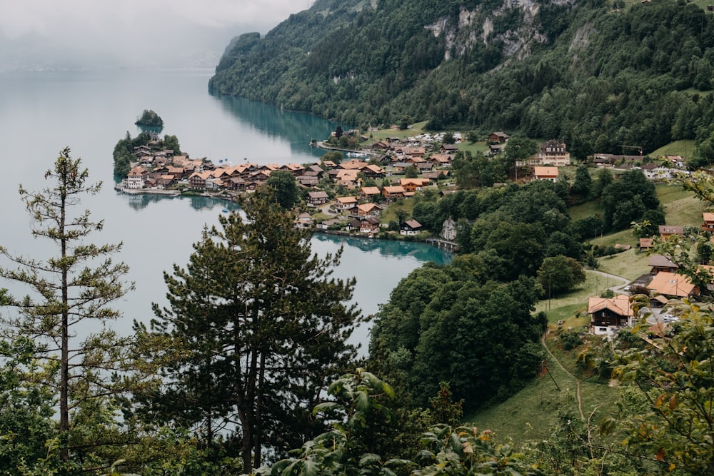 houses near green trees and body of water during daytime