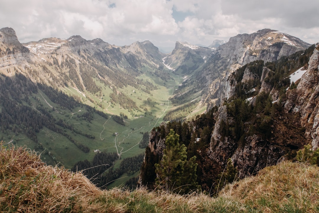 green and brown mountains during daytime