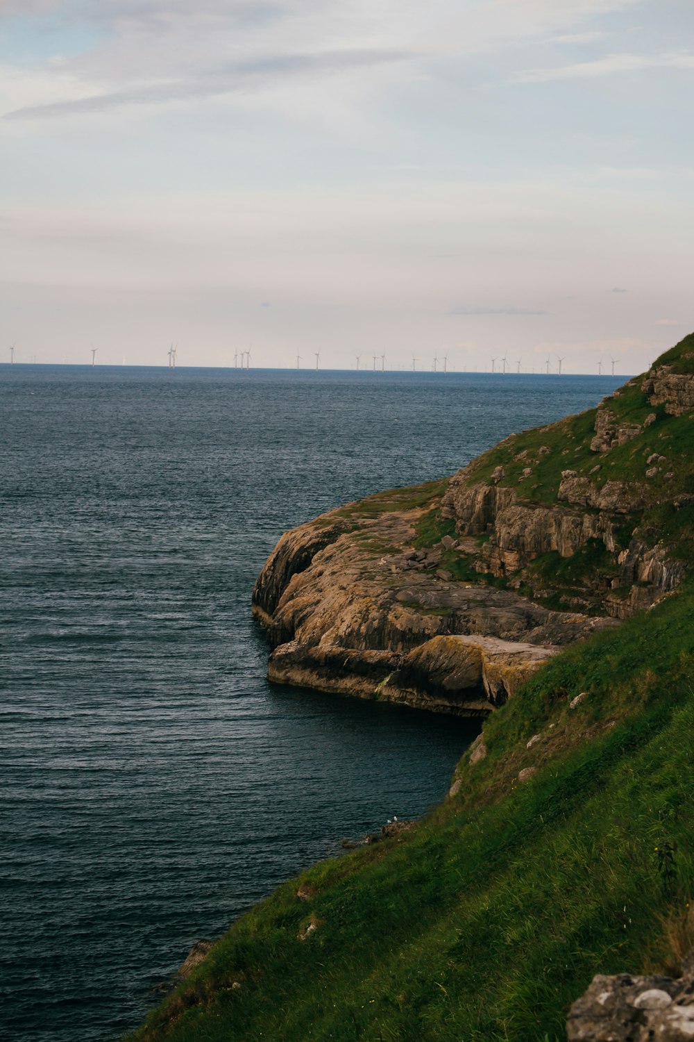 green grass covered mountain beside sea during daytime