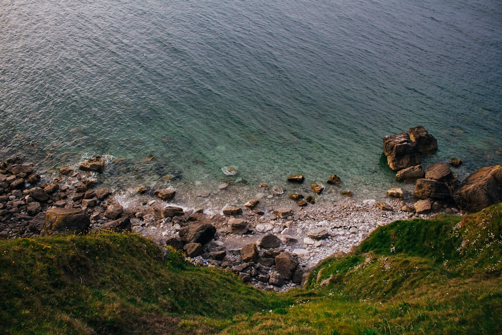 brown rocky shore with green grass and body of water