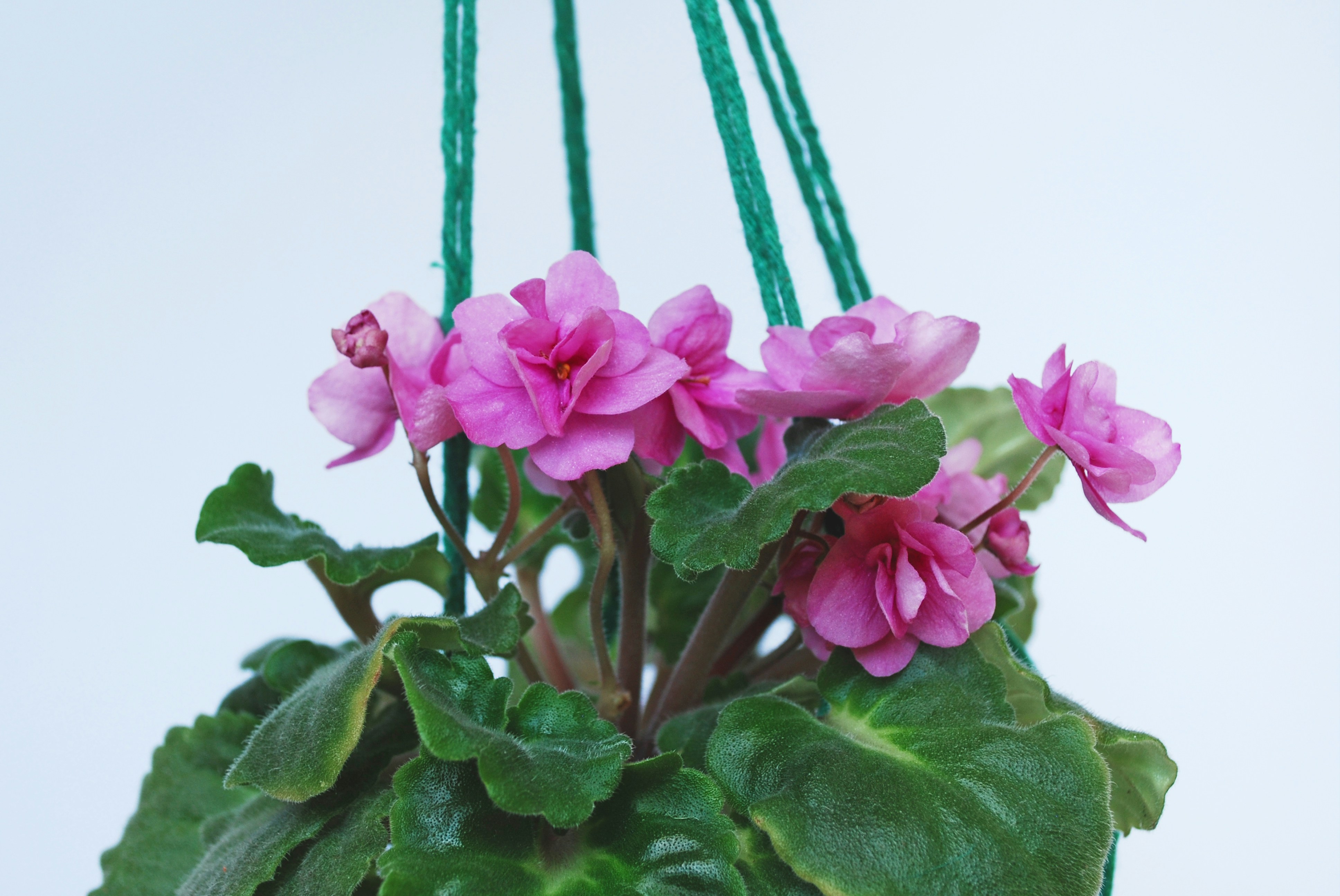 Photo by origamiaround