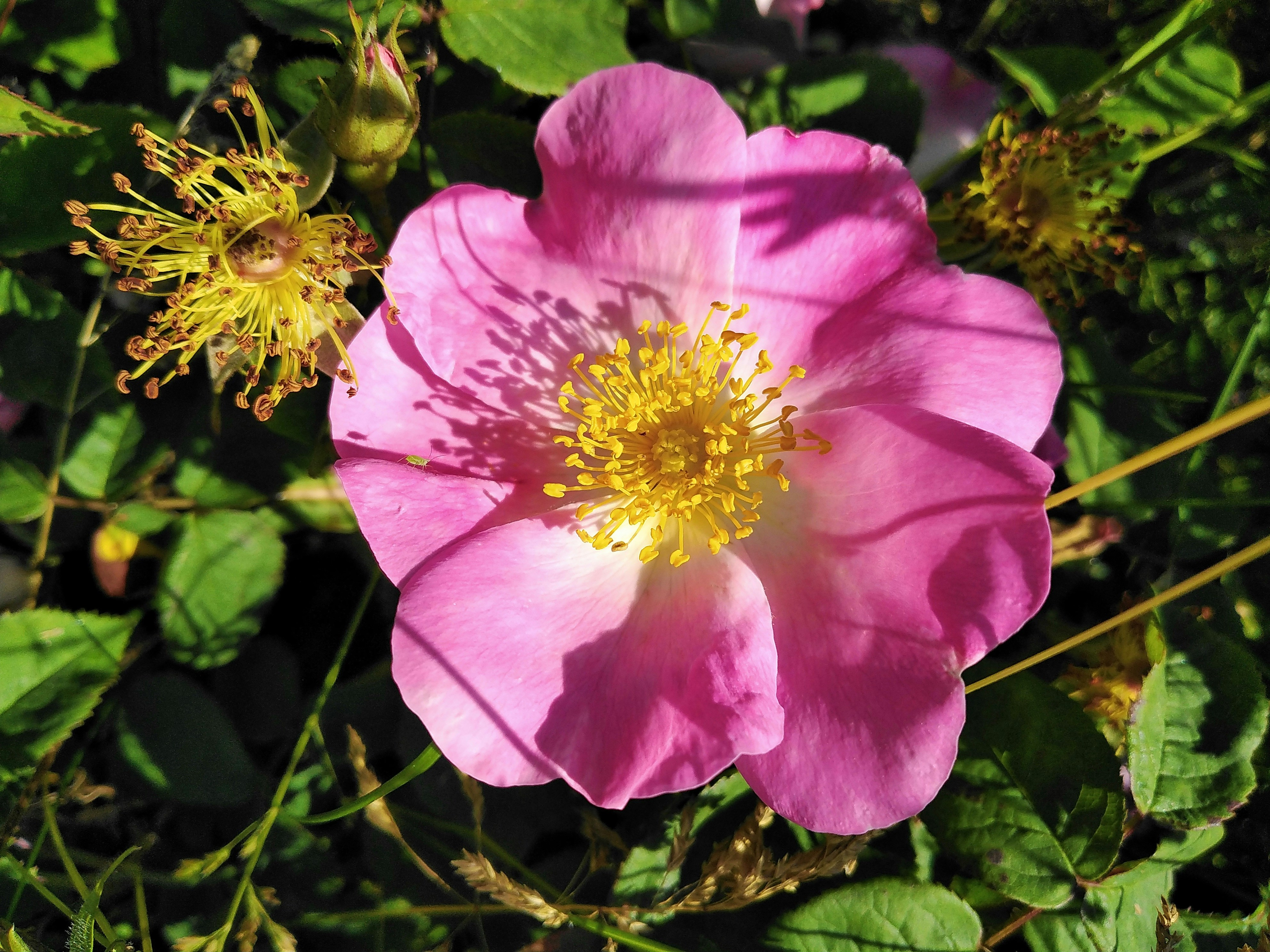 Photo by nitoiviorel