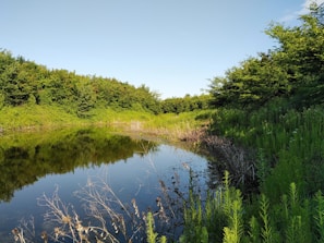 Quiet moments of reflection by a small pond within the peaceful grounds of the padepokan