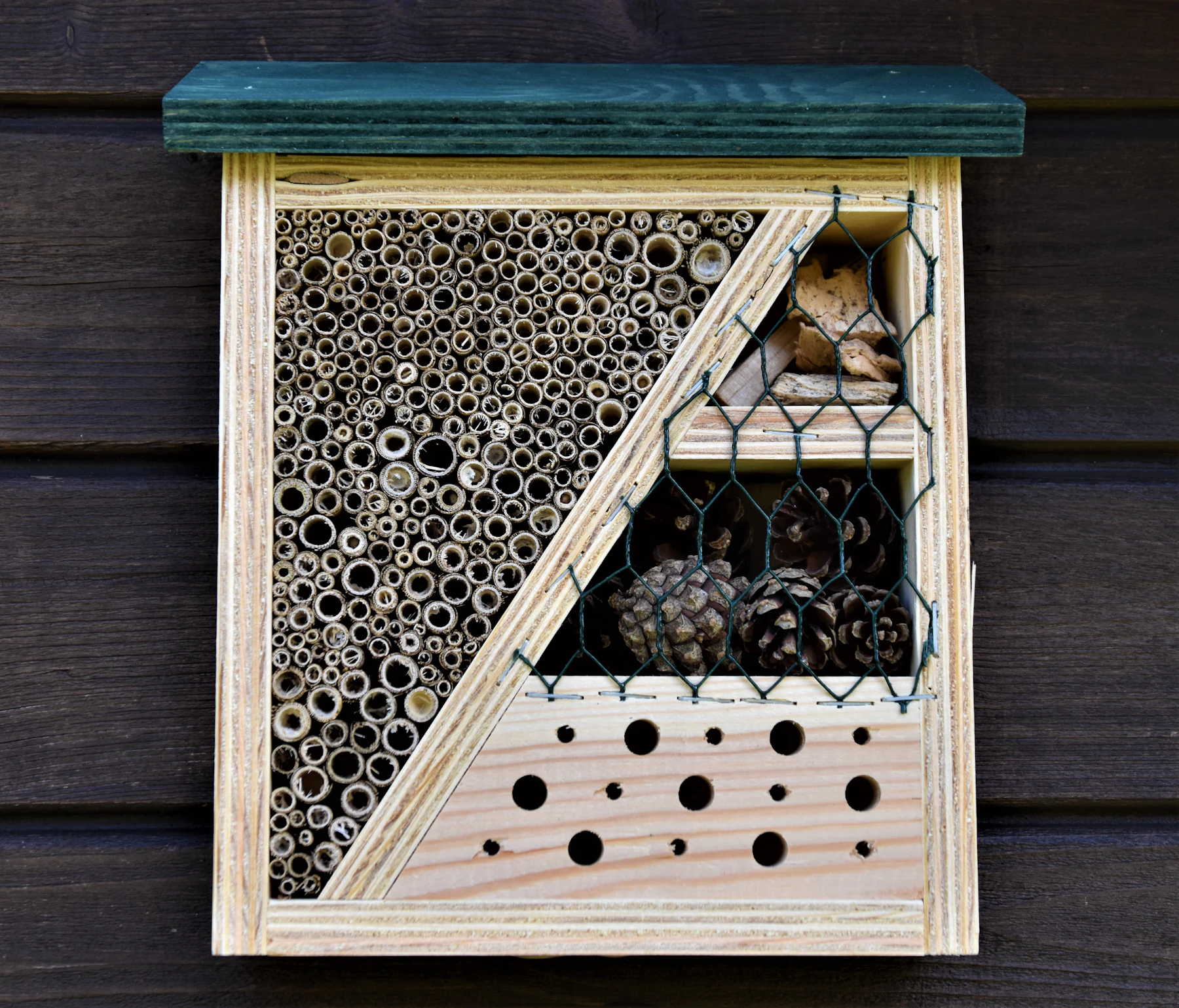 A flat-roofed bug hotel with a room of stem tubes, a drilled block and pine cones behind wire mesh