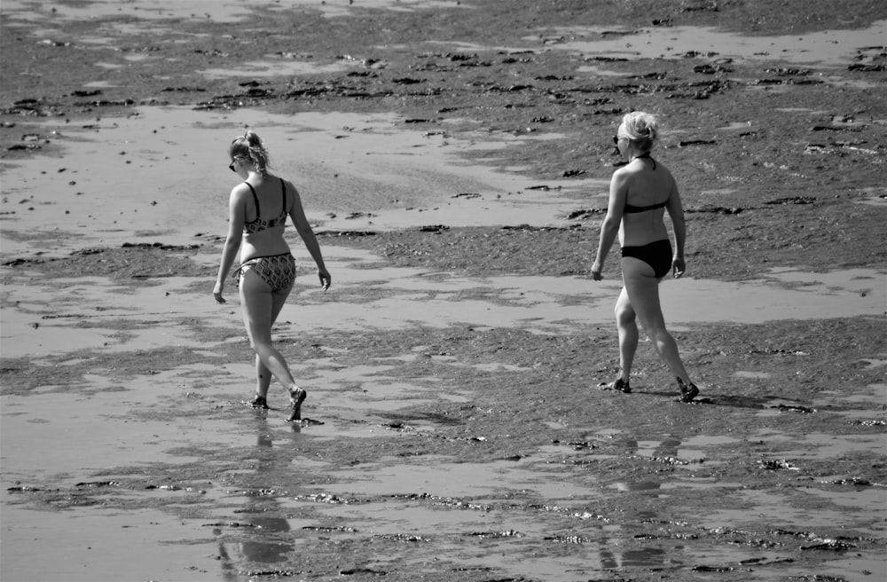昼間にビーチを歩く黒い水着の女性2人