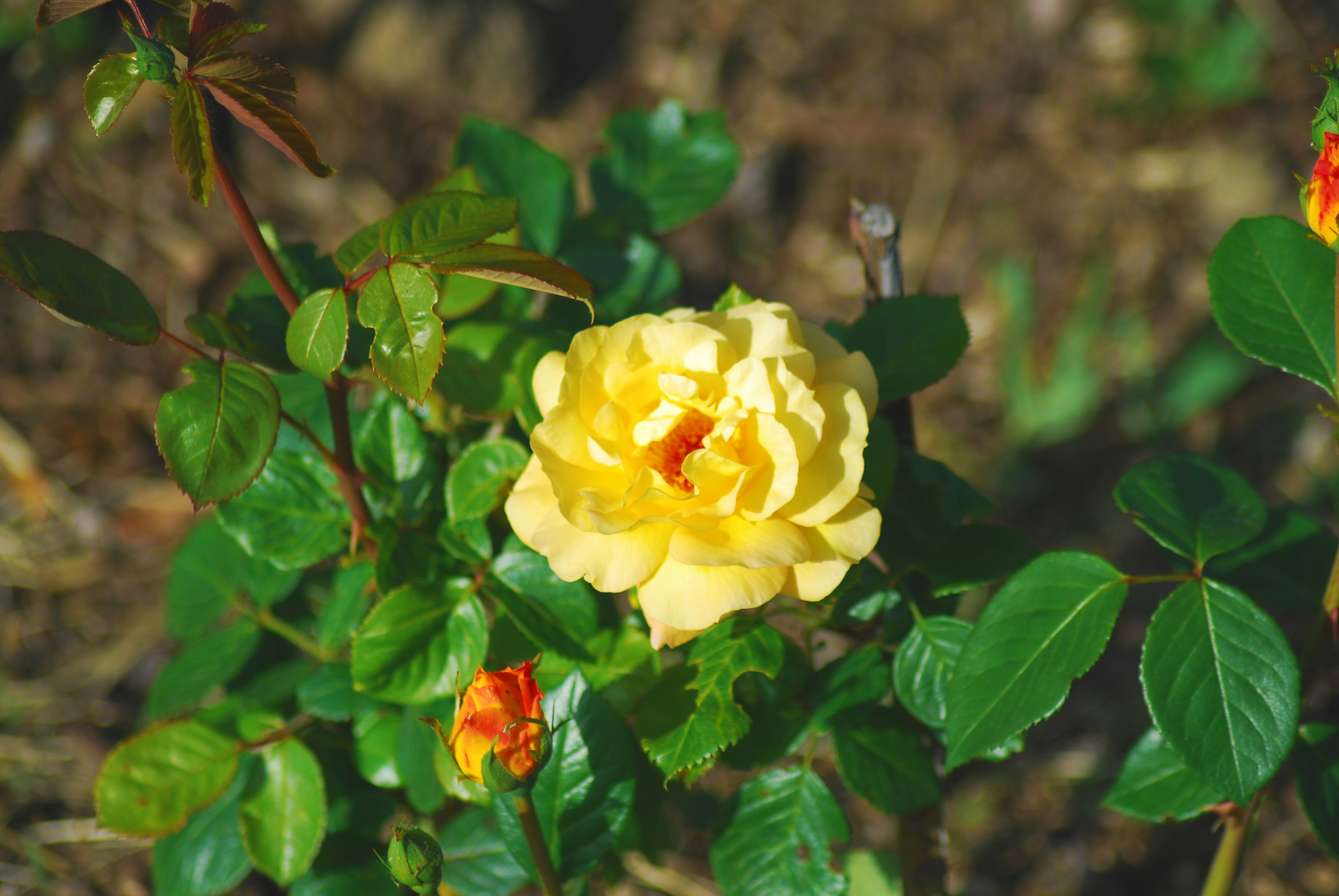 Photo by origamiaround