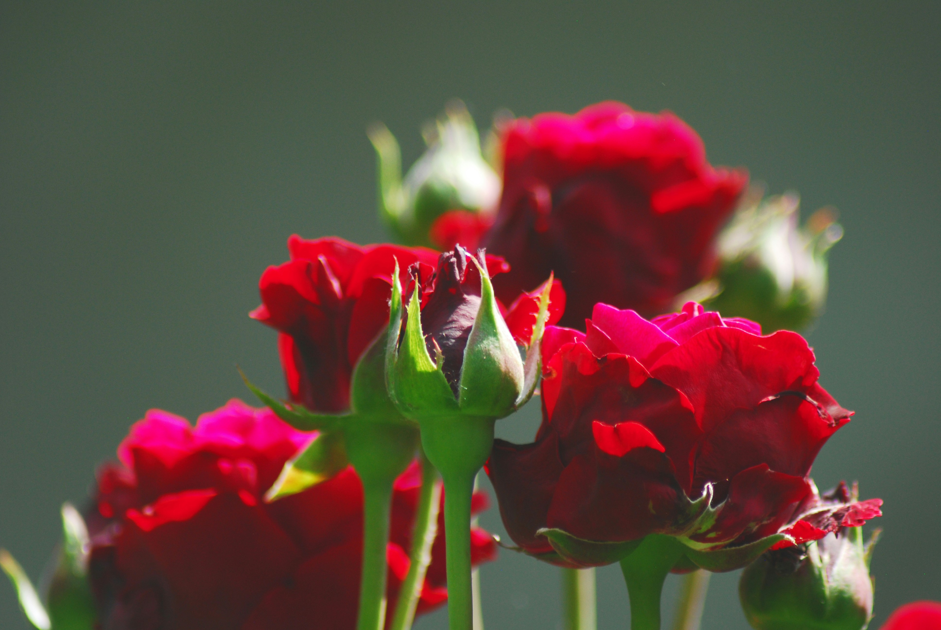 Photo by origamiaround