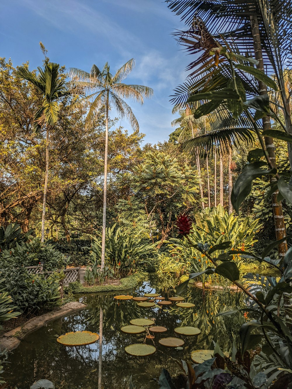 green palm trees near body of water during daytime