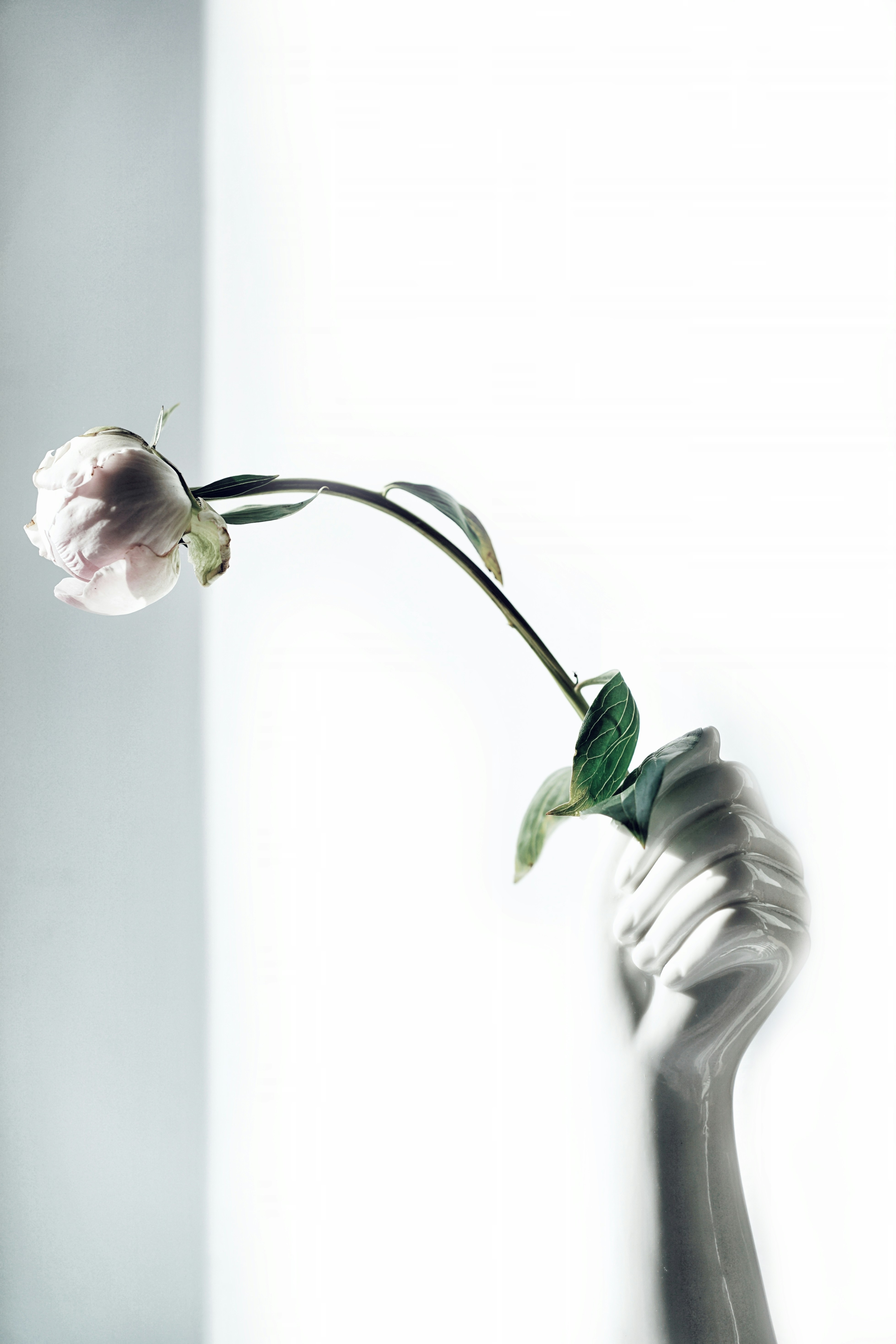 Photo by vika_strawberrika