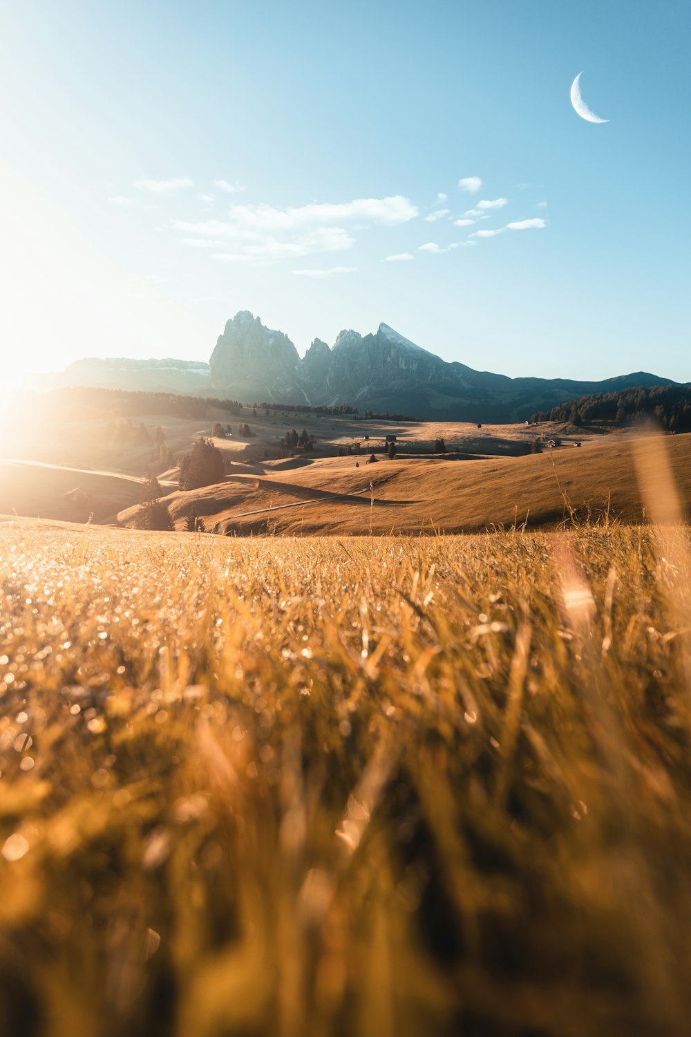 campo di erba marrone vicino alla montagna durante il giorno