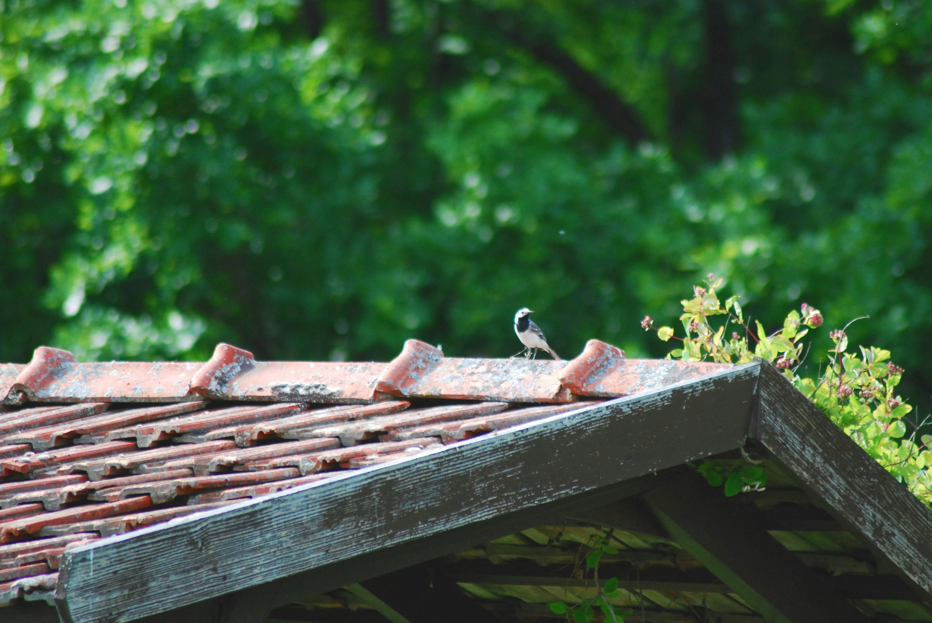 Photo by origamiaround