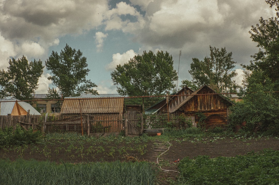 brown wooden house surrounded by green trees under white clouds during daytime