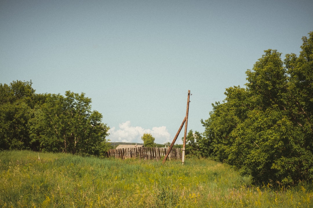 brown wooden fence on green grass field during daytime