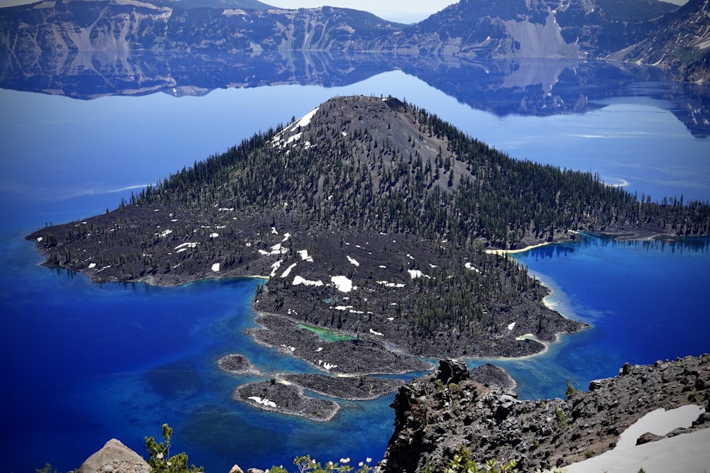 aerial view of green trees and lake