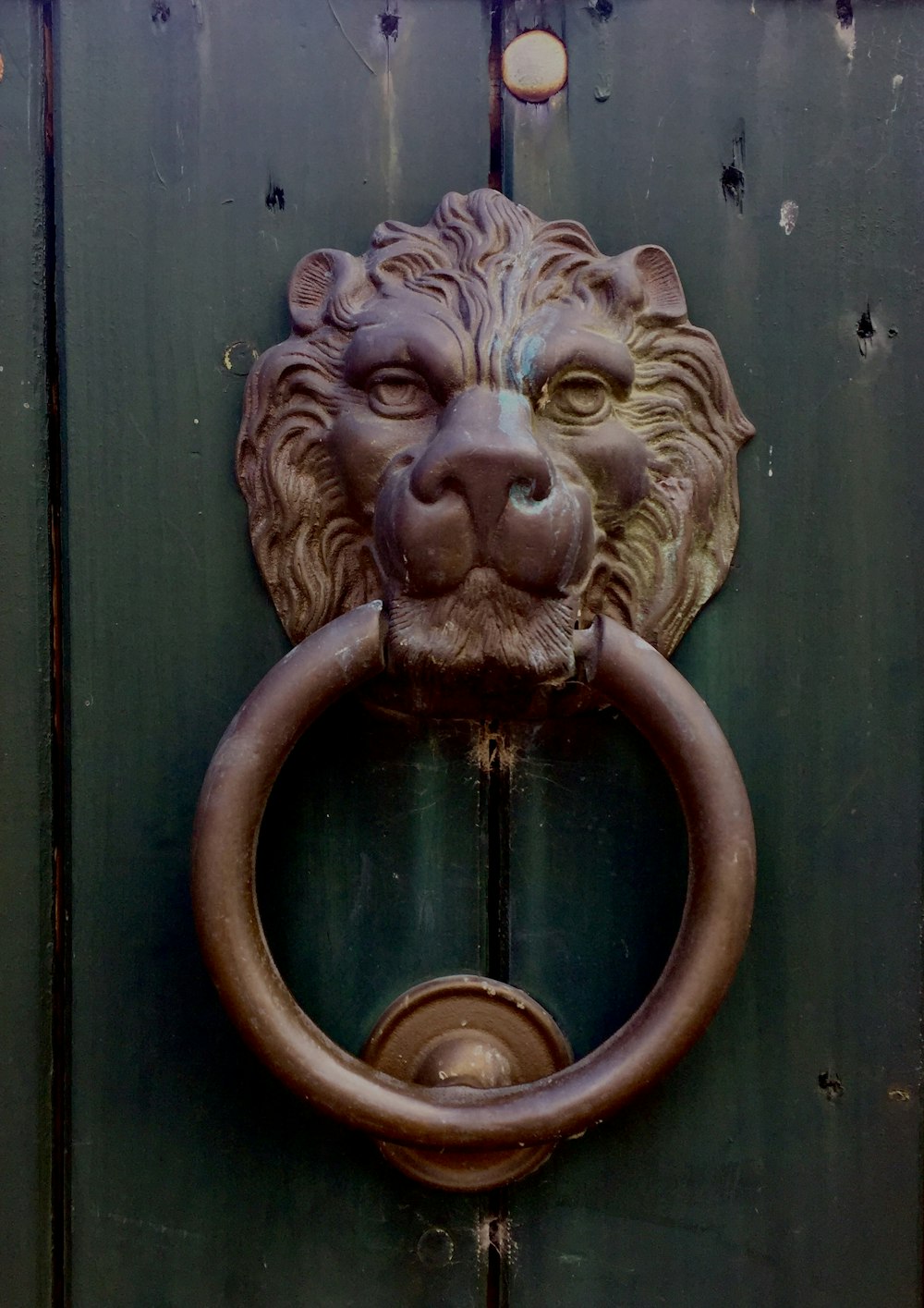 Poignée de porte lion d’or sur porte en bois vert