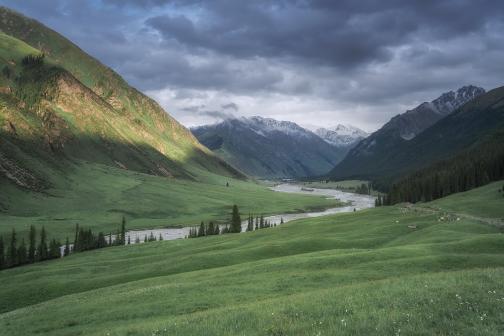 green grass field near green mountains under white clouds and blue sky during daytime