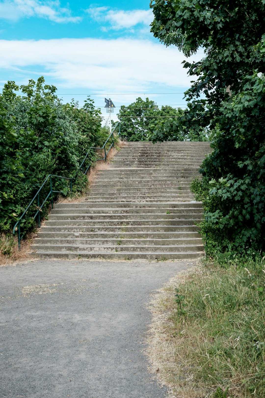 brown concrete stairs near green trees during daytime