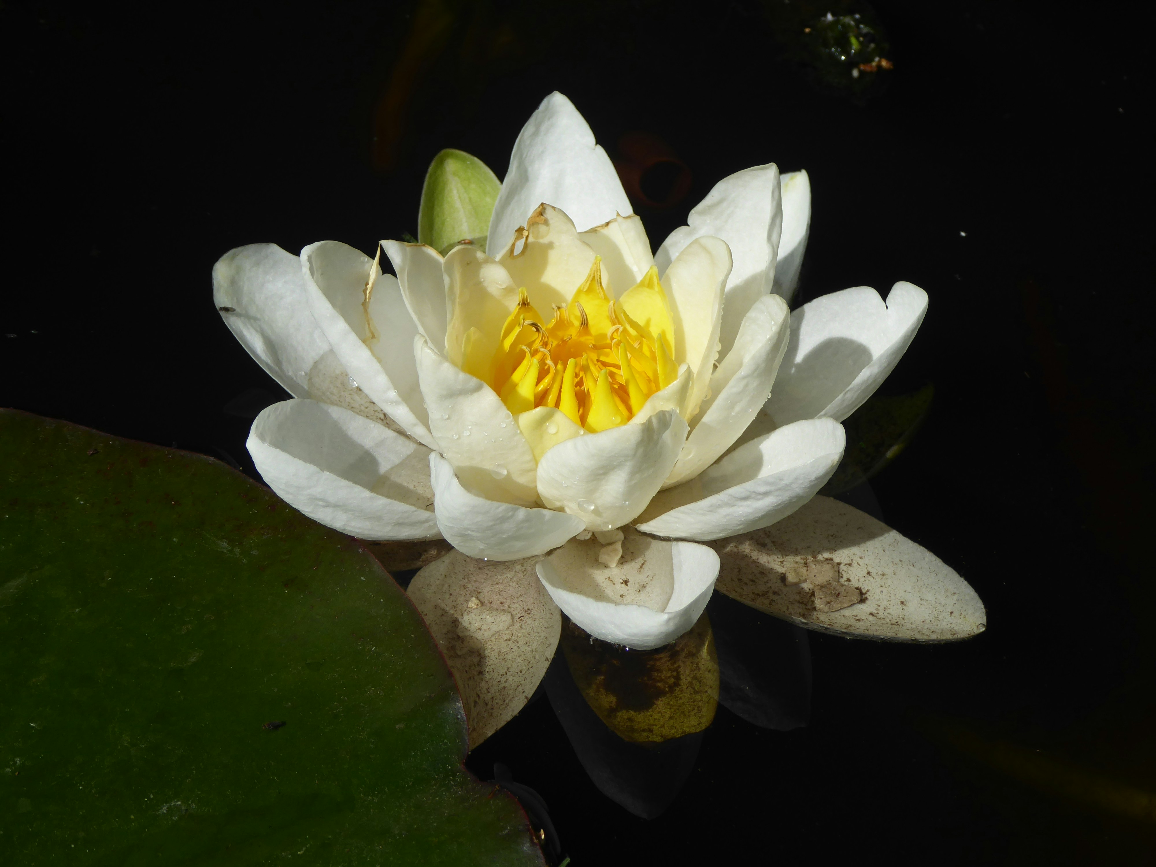 Photo by jackie_ford50