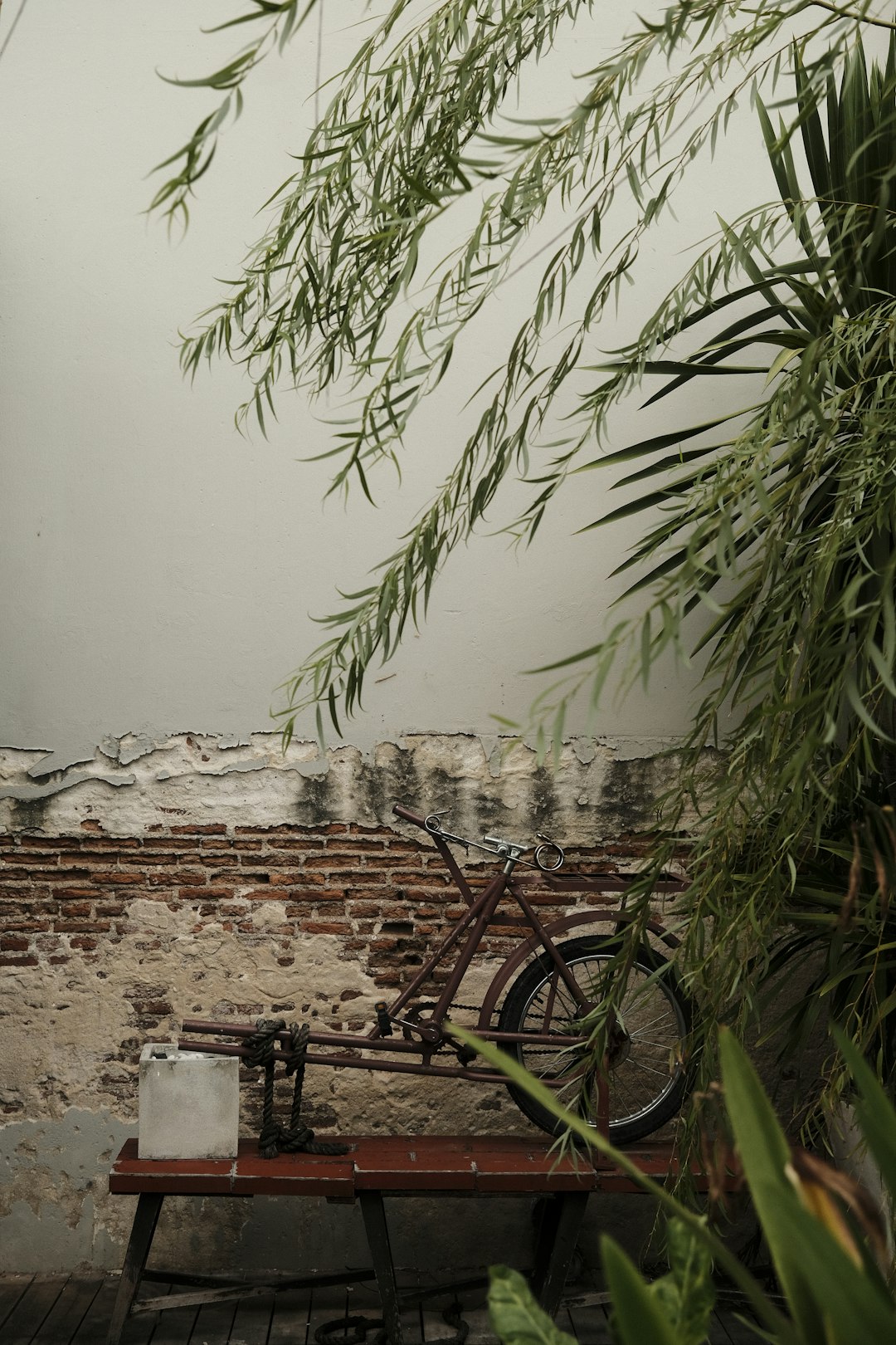 green bicycle beside green plant