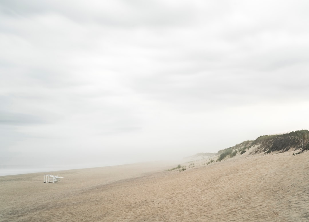 people walking on brown sand beach during daytime