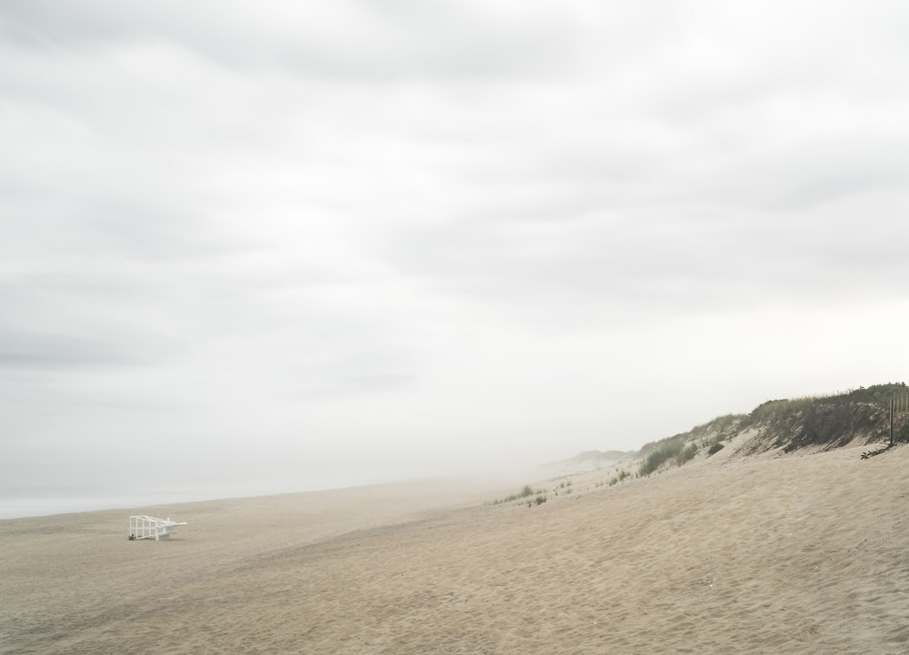 people walking on brown sand beach during daytime