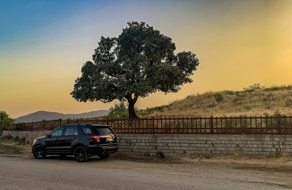 black suv parked beside green tree during daytime