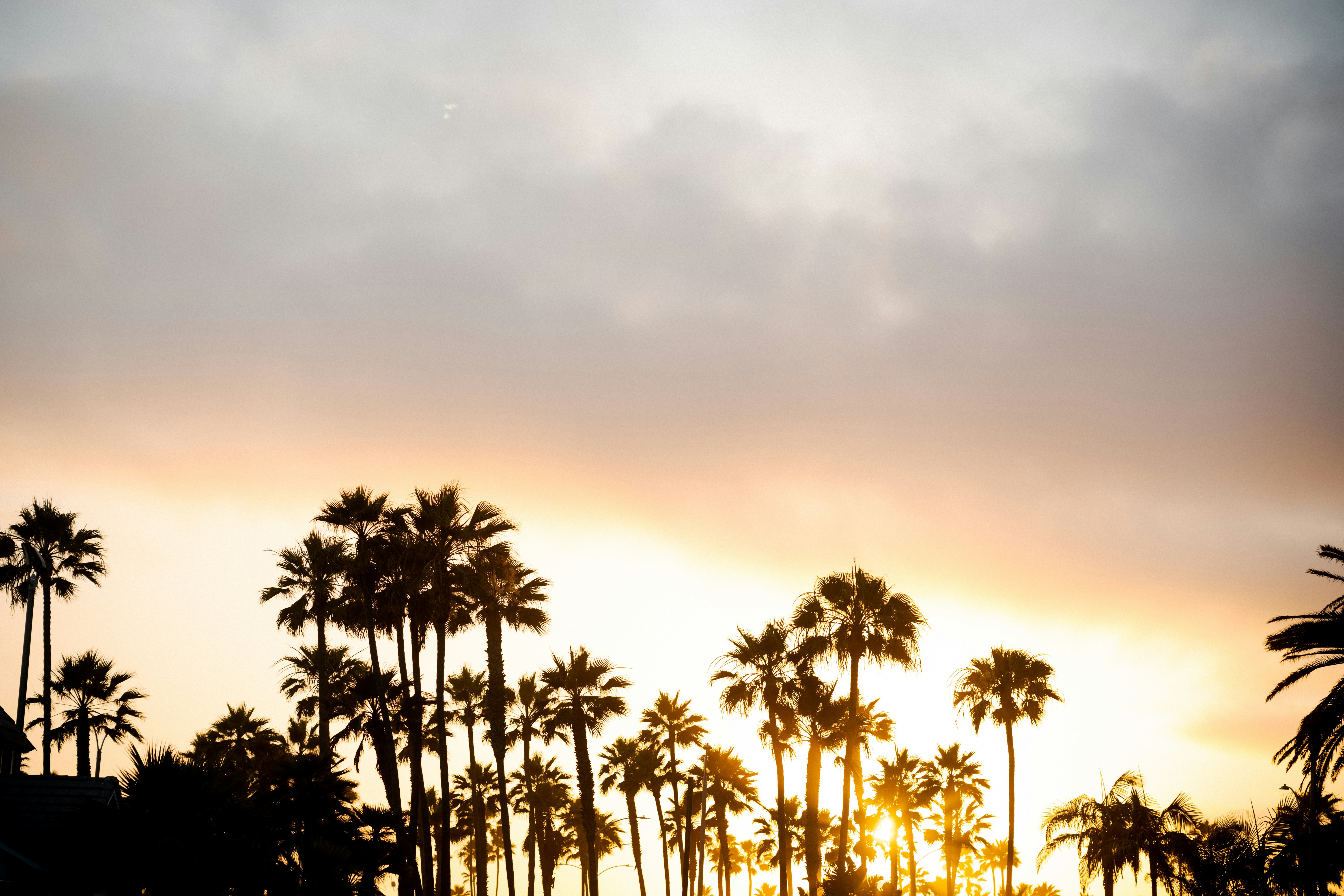 Photo by franciscoegonzalez