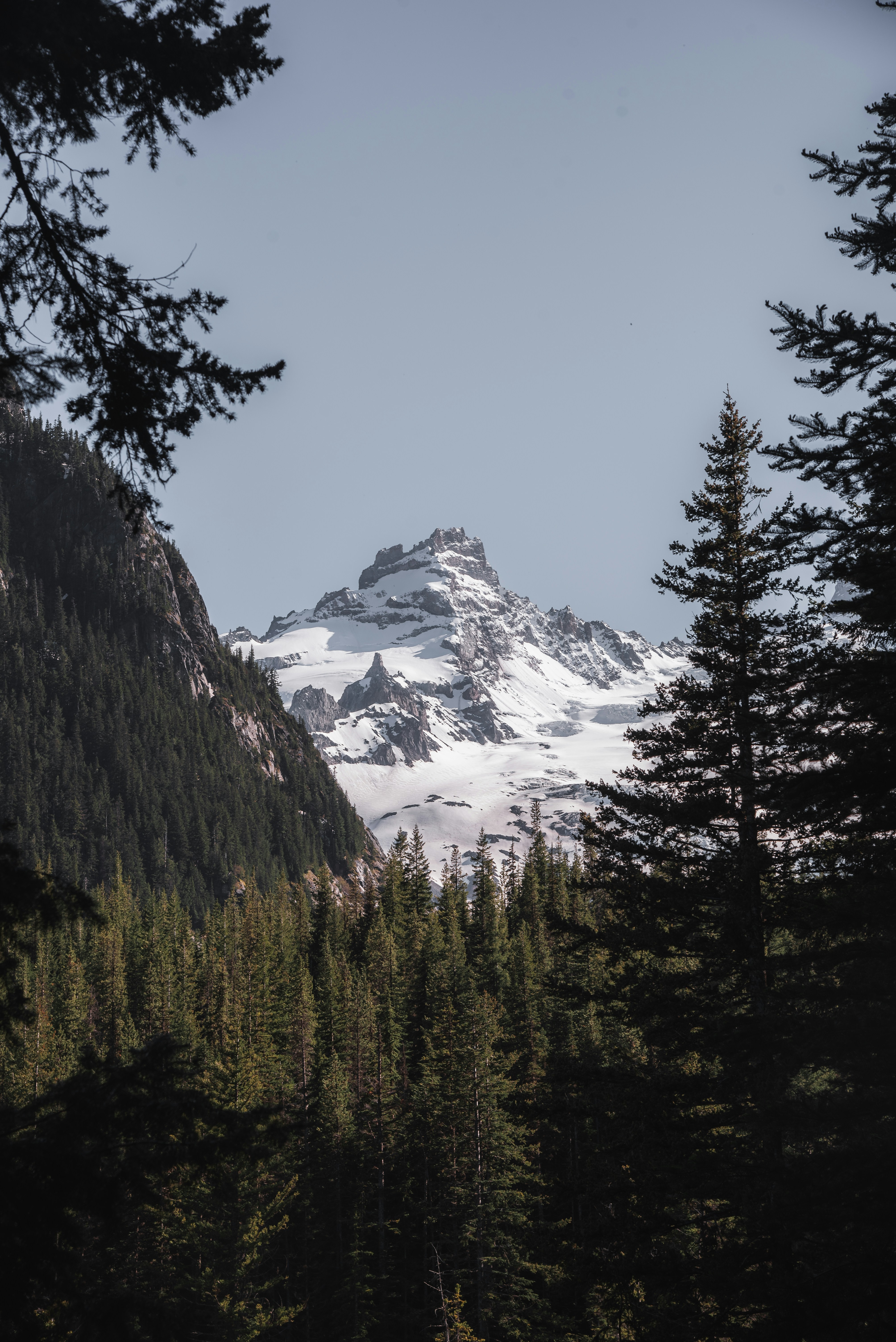 Green trees near snow covered mountain during daytime photo Free