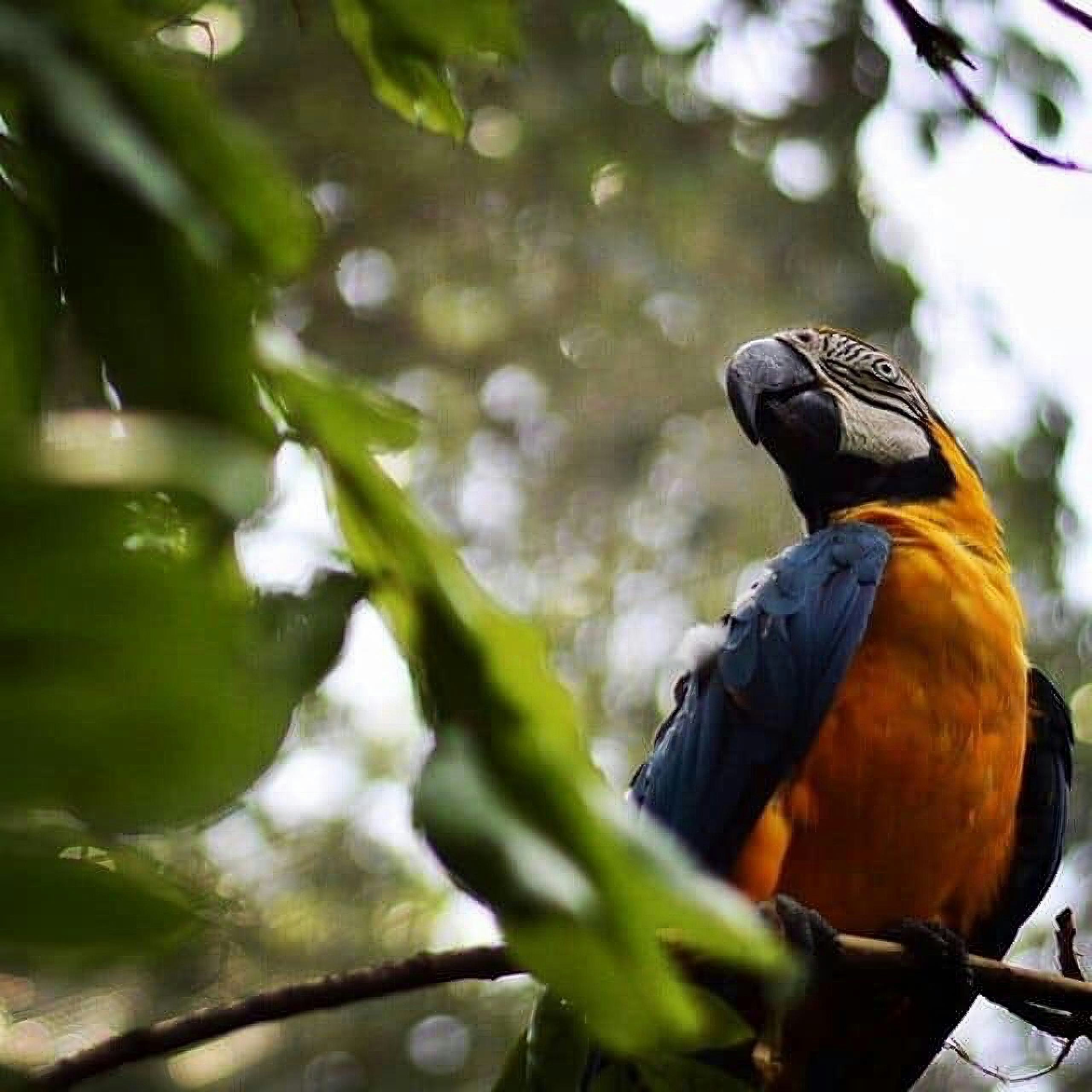 Photo by greenethirteen