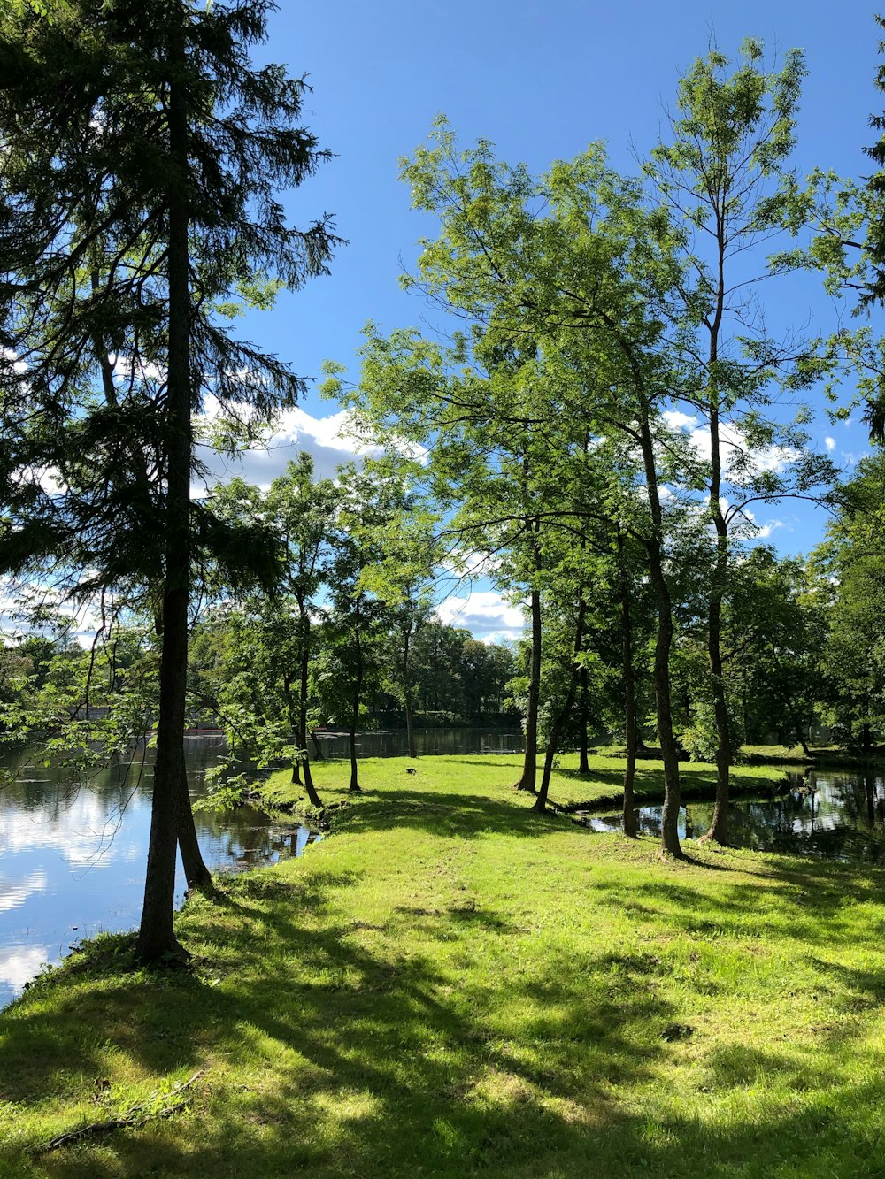 green grass field with trees near lake during daytime