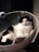 A black and white cat is comfortably lounging inside a cozy, rounded cat bed. The bed has a soft, knitted blanket inside, and the background is dark, emphasizing the relaxed posture of the cat.