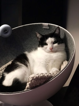 A black and white cat is comfortably lounging inside a cozy, rounded cat bed. The bed has a soft, knitted blanket inside, and the background is dark, emphasizing the relaxed posture of the cat.