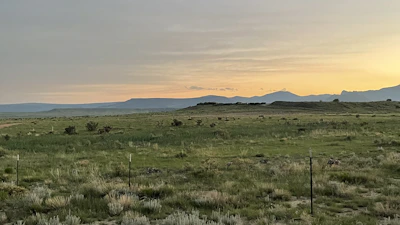 Wide open land with wildflowers and distant mountain views at sunset.
