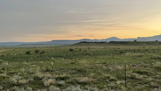 Wide open land with wildflowers and distant mountain views at sunset.
