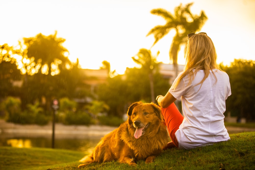 Frau im weißen Hemd sitzt bei Sonnenuntergang auf grünem Grasfeld neben braunem Hund