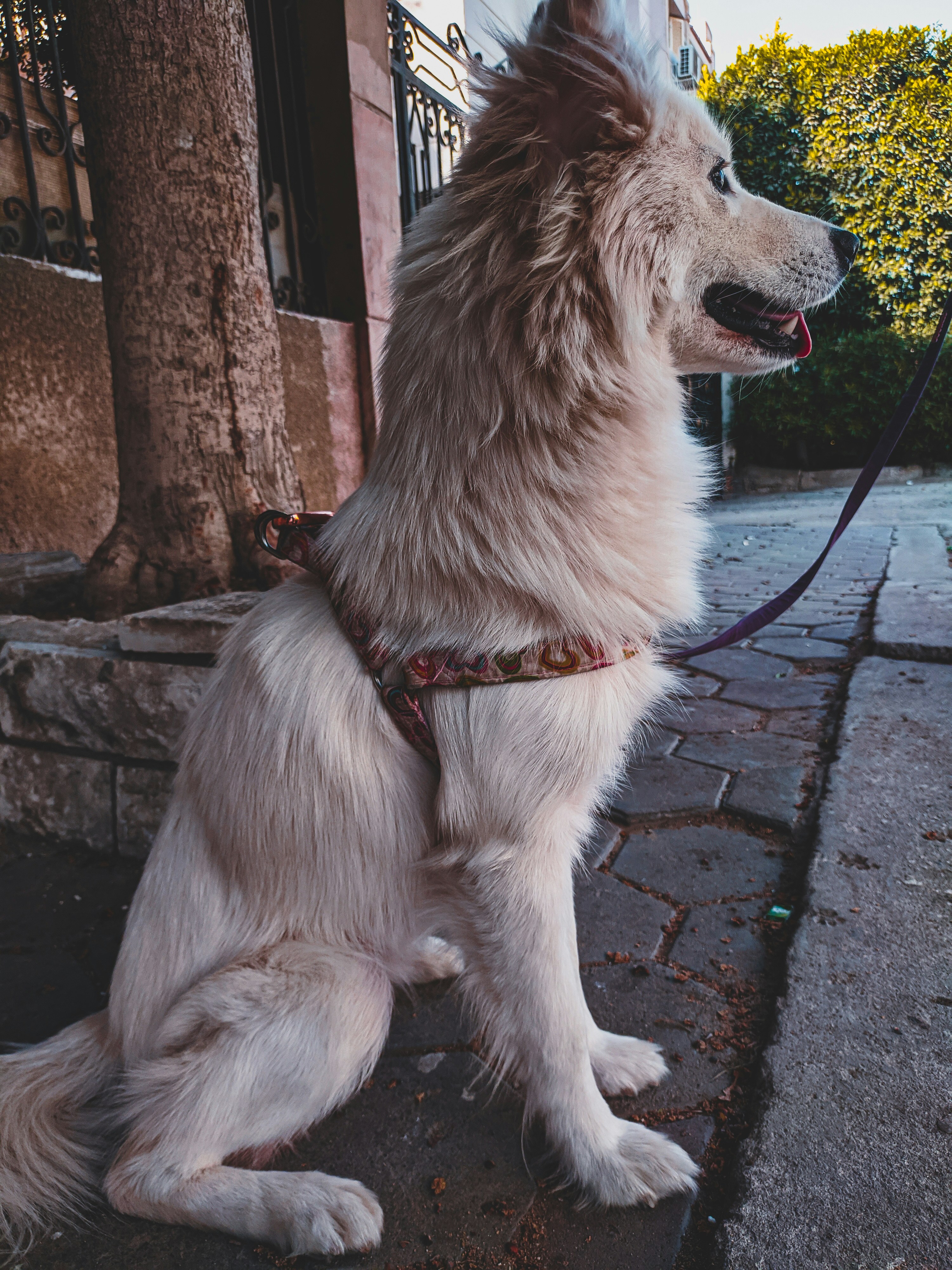Sayed Khalid (@sayed_khalid) | Komunitas Foto Unsplash