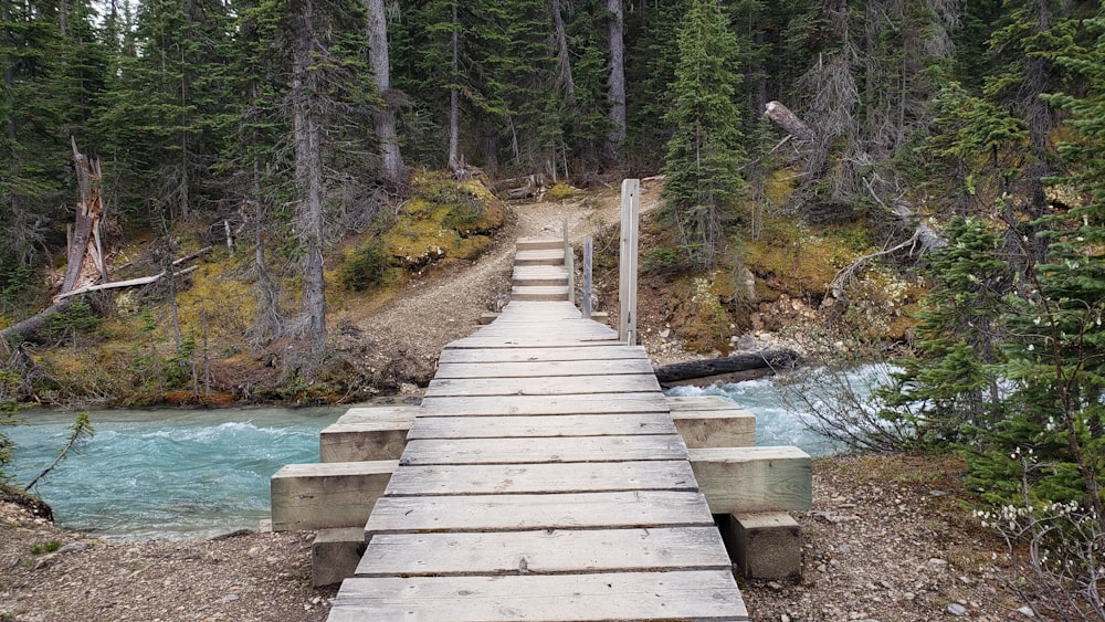 brown wooden bridge over river