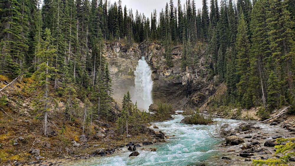 green pine trees near water falls during daytime