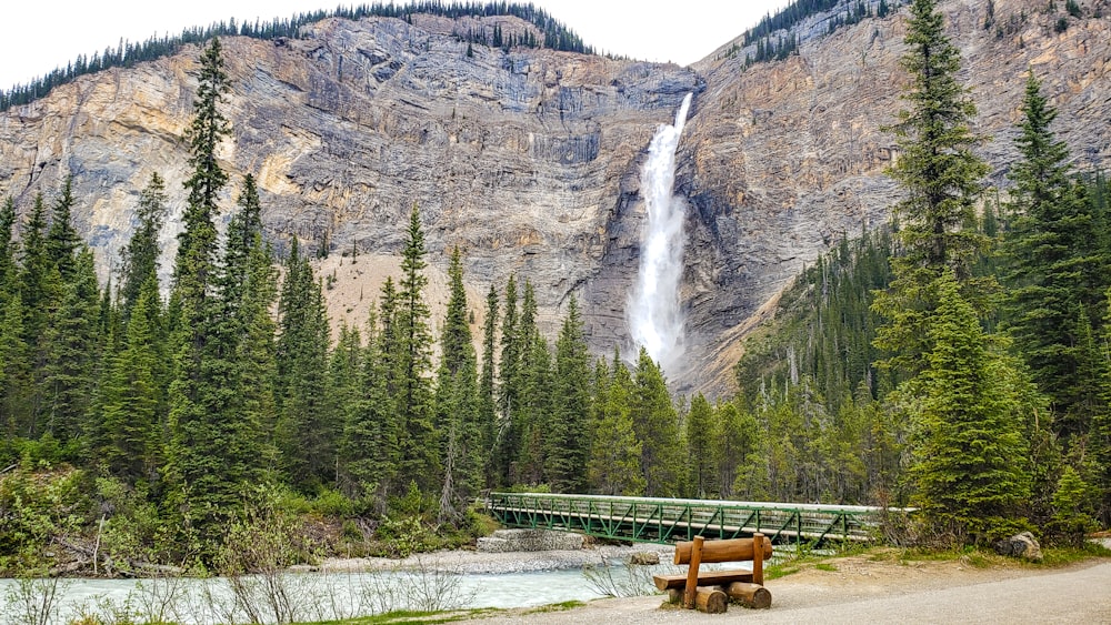 brown wooden bench near green pine trees and mountain during daytime