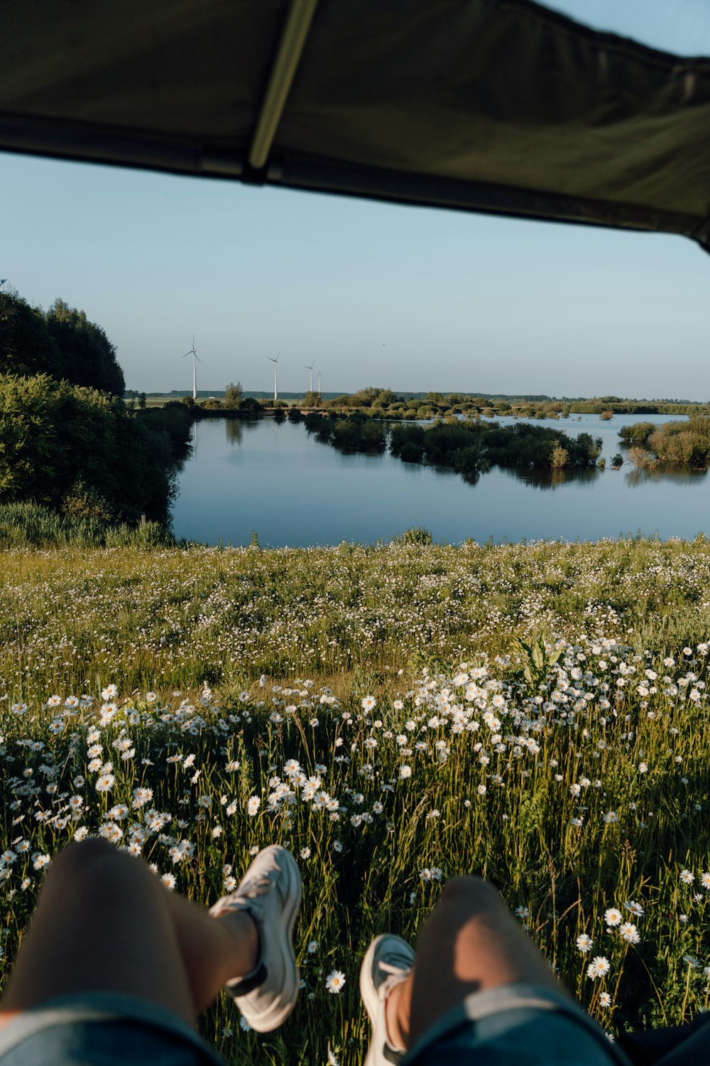 green grass near lake during daytime