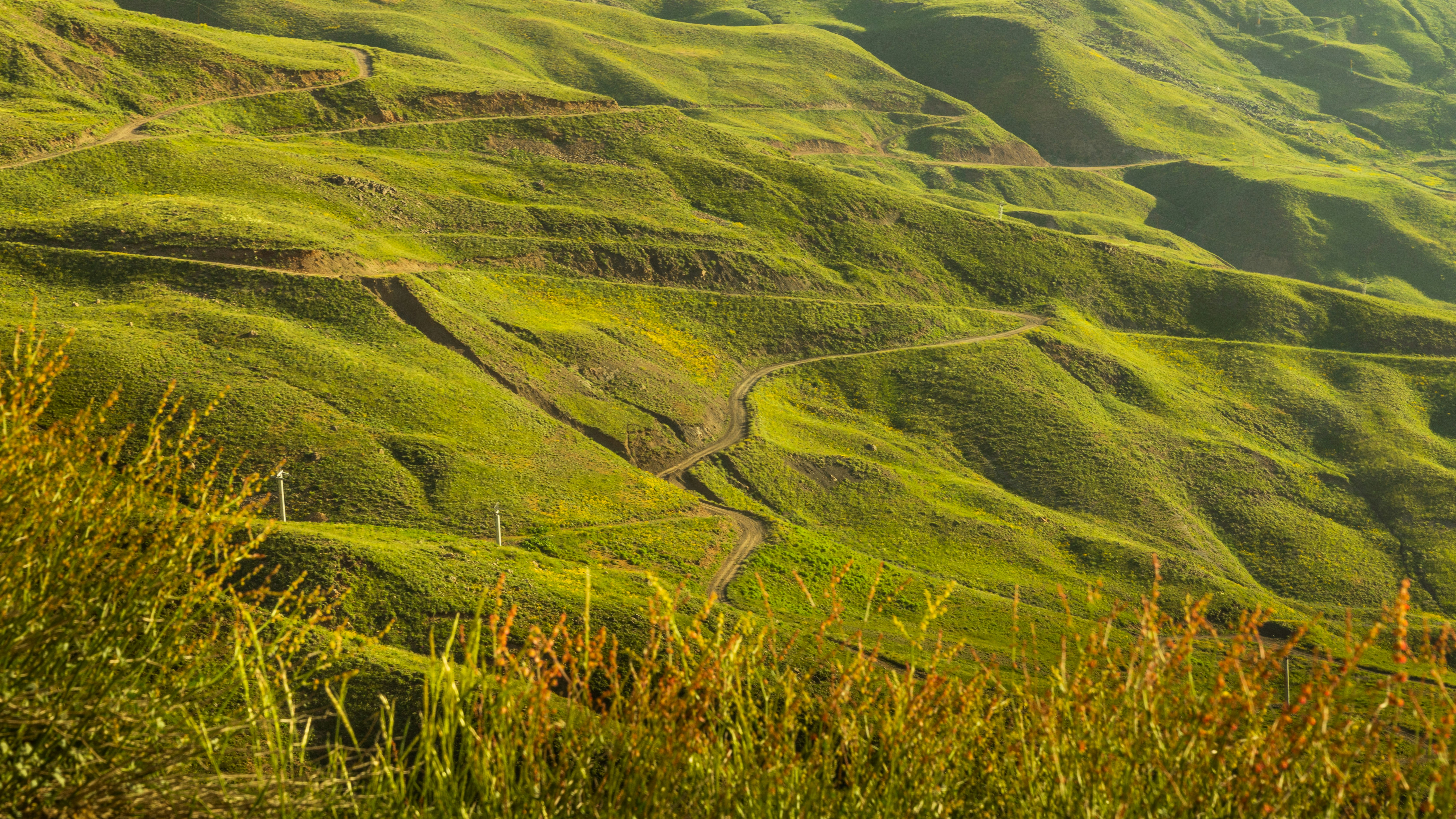 Photo by sinahnyazdi