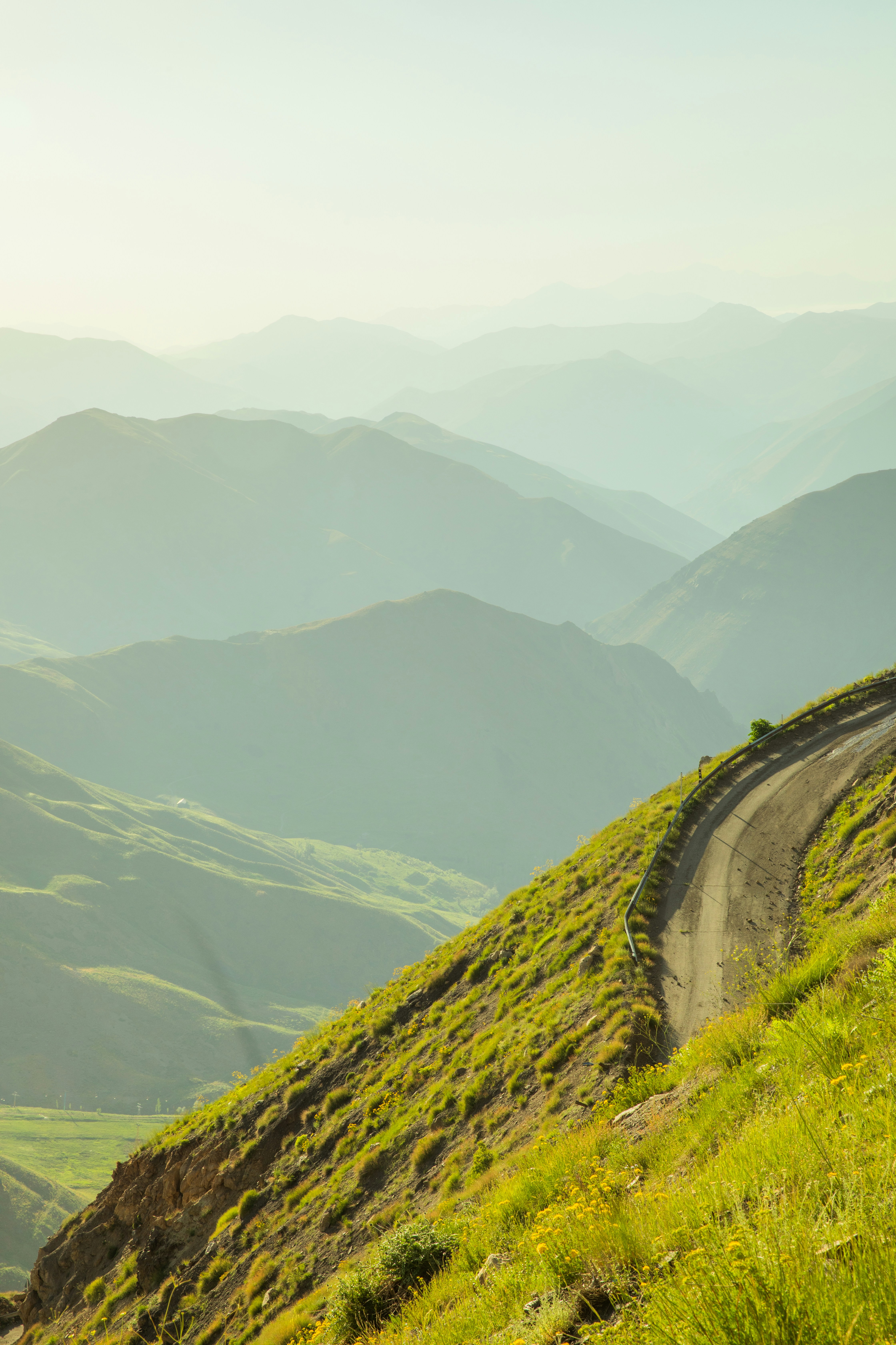 Photo by sinahnyazdi