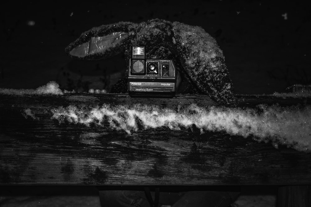 black camera on wooden dock