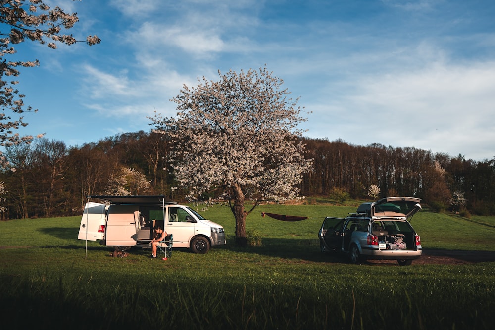 white van parked on green grass field near trees during daytime