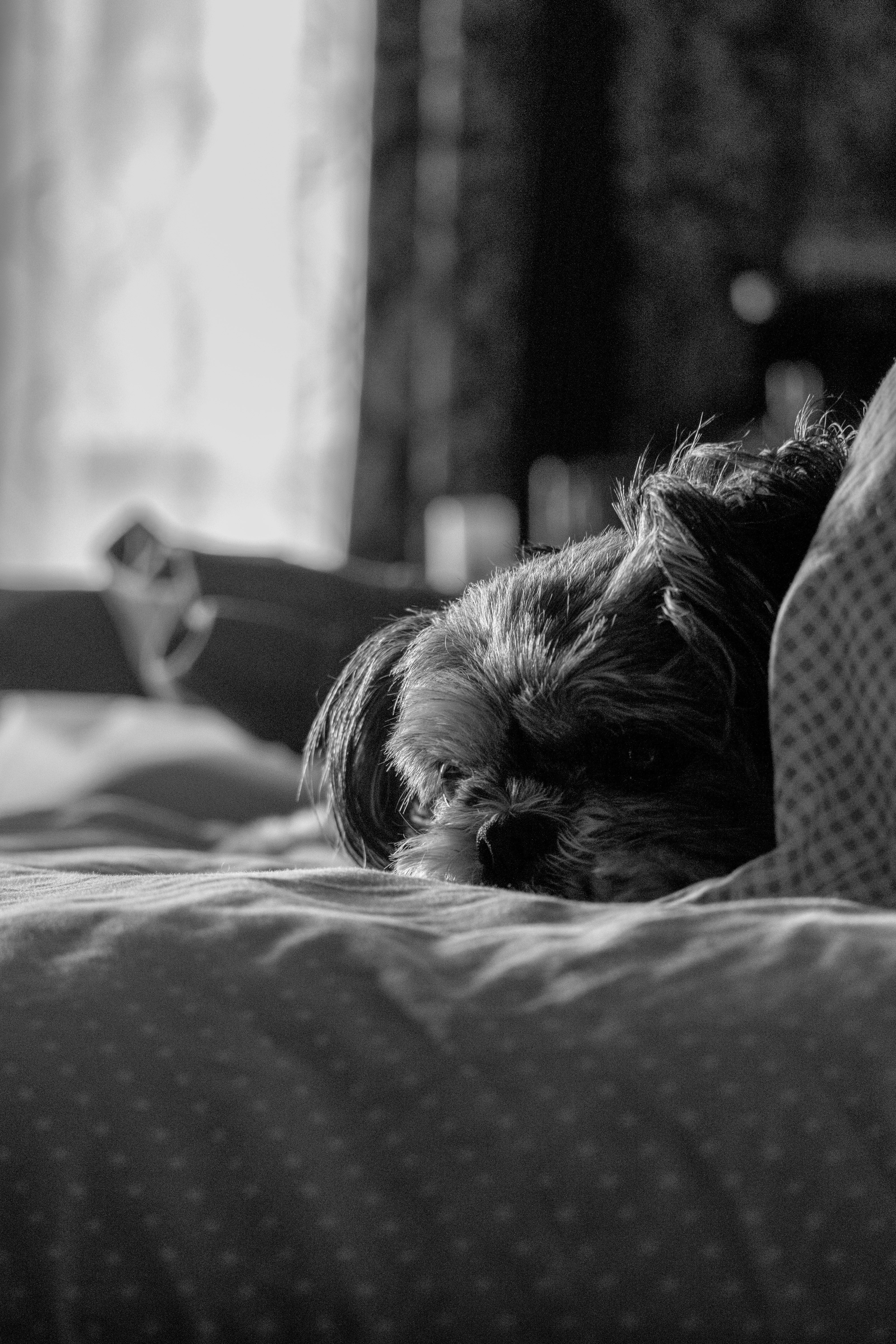 Photo by drizzy_bear86