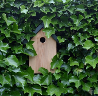 brown wooden birdhouse on green leaves